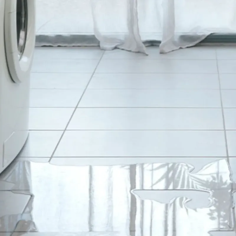 Appliance Leak Cleanup in Beaufort, SC