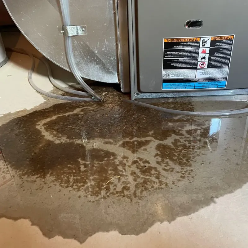 Pipe Burst and Leak Restoration in Beaufort, SC